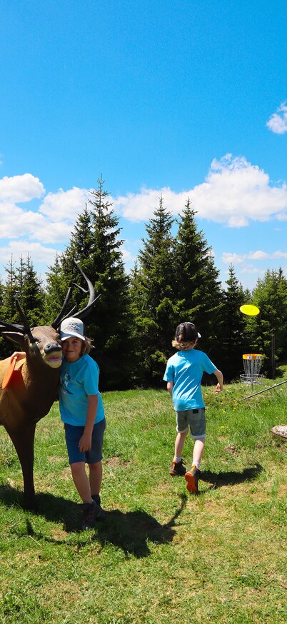Familie beim Disc Golf Spielen inmitten der Berglandschaft am Hauser Kaibling | © Hauser Kaibling