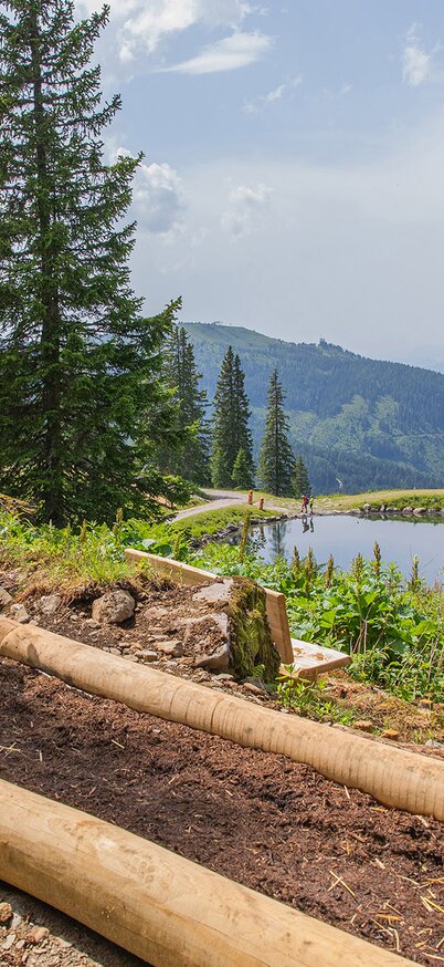 Familie erkundet den Sommer-Barfußweg bei Wollis Bergabenteuer am Hauser Kaibling mit Blick auf den Schafsinnteich und die Kaiblingalm. | © René Eduard Perhab