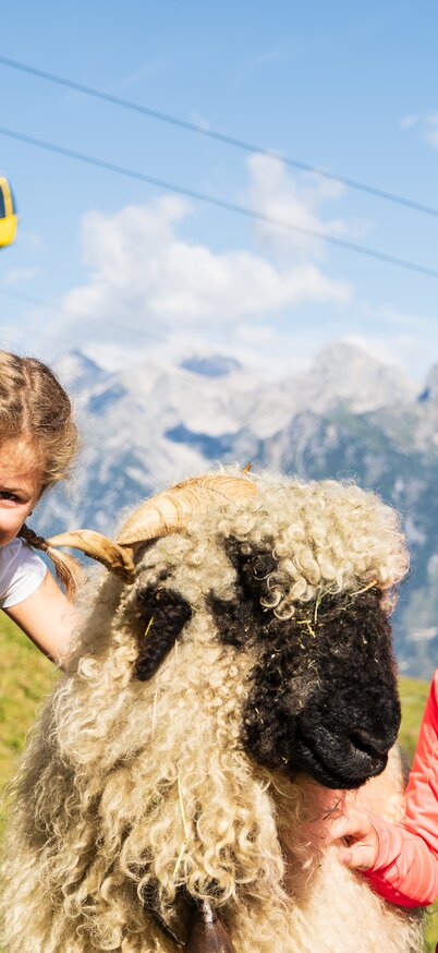 Zwei Mädchen streicheln ein wolliges Schaf am Hauser Kaibling, im Hintergrund die 8er Gondelbahn und das Dachstein Massiv | © Josh Absenger