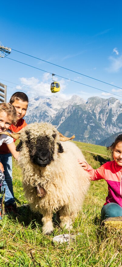 Drei Kinder streicheln ein freundliches Schaf im Streichelzoo am Hauser Kaibling, im Hintergrund die 8er-Gondelbahn und das Alpenpanorama. | © Josh Absenger