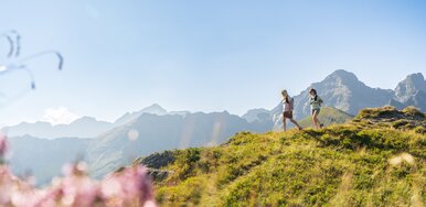 Zwei Frauen wandern am Hauser Kaibling, im Vordergrund blühende Alpenflora. | © Josh Absenger