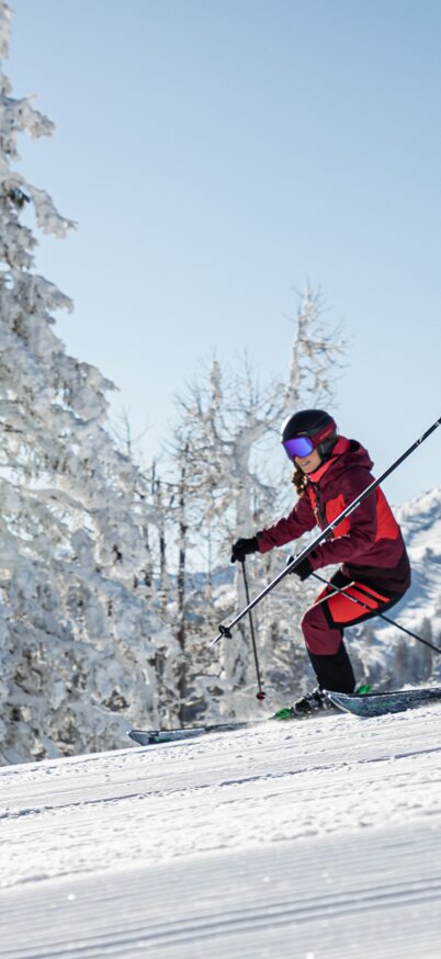 Zwei Skifahrerinnen fahren parallel die frisch präparierte Piste hinunter, Sonne, verschneite Bäume und Berge im Hintergrund, perfekte Bedingungen in der 4-Berge-Skischaukel Schladming. | © Mirja Geh
