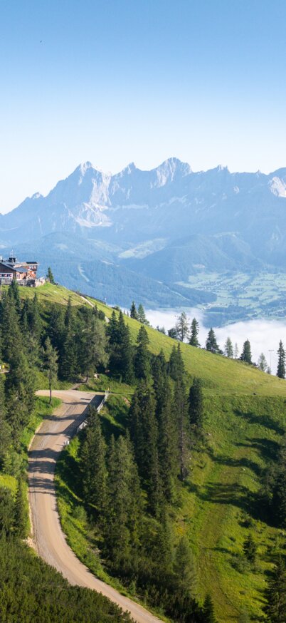 Grüne Hochwurzen-Gipfelkulisse mit Hütte, Bergstraße und Blick auf das Ennstal und das Dachsteinmassiv | © Josh Absenger