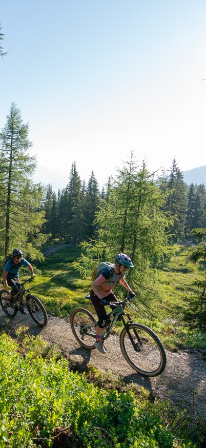 Zwei Mountainbiker fahren bergauf durch grünen Nadelwald auf dem Uphill Flow Trail im Bikepark Schladming | © Christoph Oberschneider