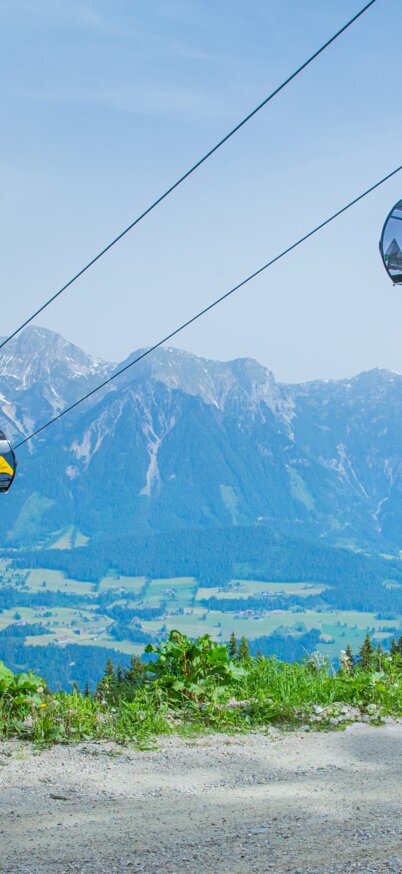 Familie bestehend aus Vater, kleinem Kind in der Mitte und Mutter gehen entlang eines Weges bei blauem Himmel mit Panorama und einer Planai Gondel im Hintergrund. | © René Eduard Perhab