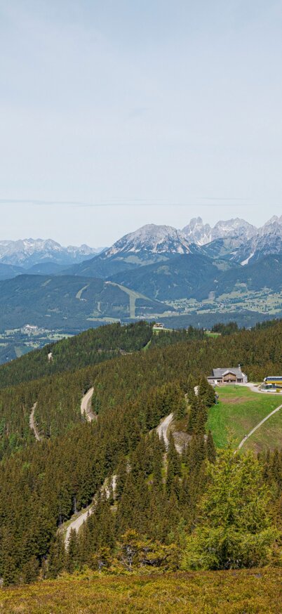 View of the Schladming mountains and a ski lift in summer | © Sabrina Melcher