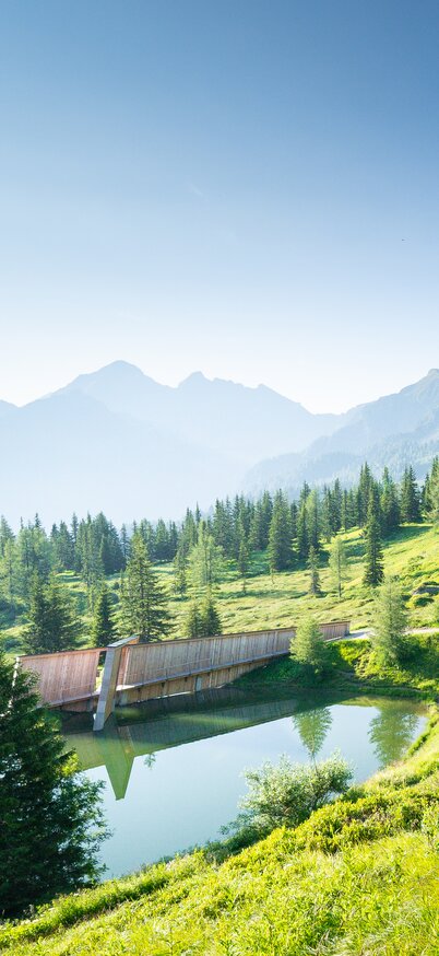 Der Planai Panoramarundweg als gemütlicher Berg-Spaziergang | © Josh Absenger Der Planai Panoramarundweg als gemütlicher Berg-Spaziergang | © Josh Absenger