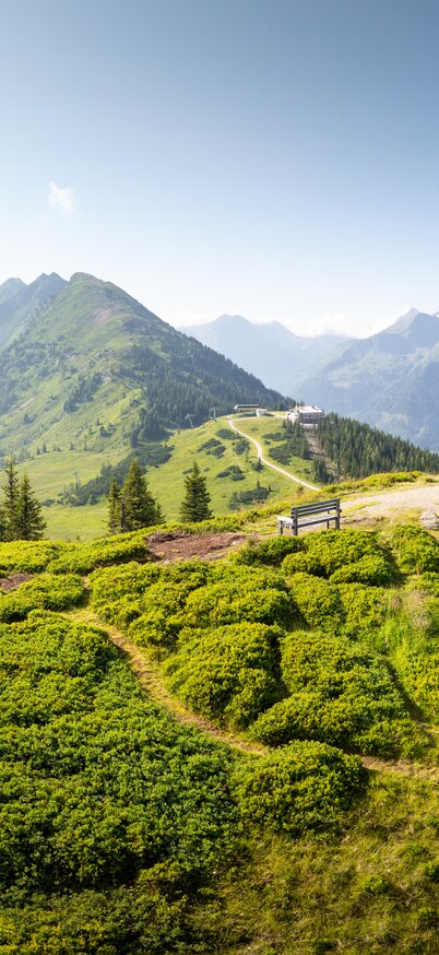 Der Planai Panoramarundweg mit Blick Richtung Mitterhaus | © Josh Absenger
