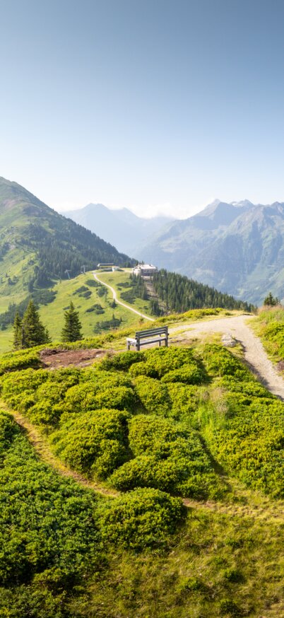 Der Planai Panoramarundweg mit Blick Richtung Mitterhaus | © Josh Absenger
