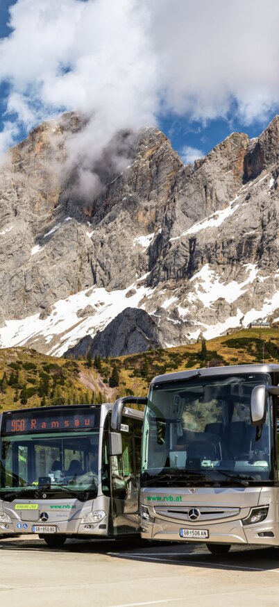 Moderne Busflotte der Ramsauer Verkehrsbetriebe in Ramsau am Dachstein | © Loretta Kvitek