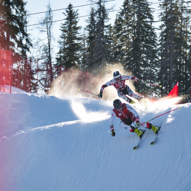 © marcus zechner © marcus zechner