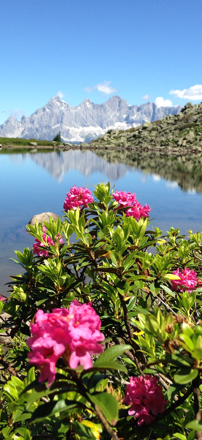 © Reiteralm Bergbahnen