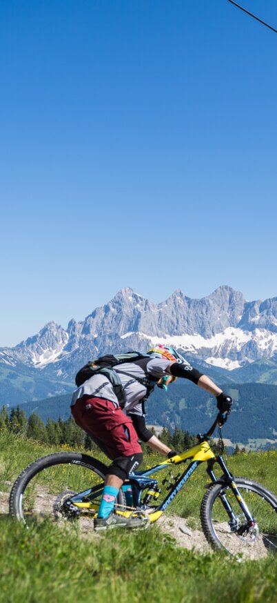 2 Biker fahren unter der Seilbahn-Trasse des Preunegg Jets die Reiteralm Trails hinunter.  | © Reiteralm Bergbahnen