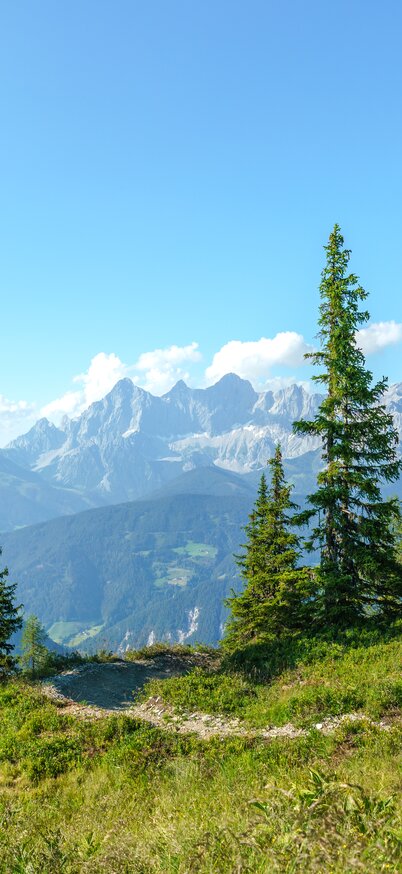 Gassl Trail von den Reiteralm Trails | © Christoph Oberschneider