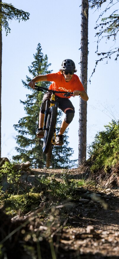 Holzer Trail von den Reiteralm Trails | © Matthias Fritzenwallner