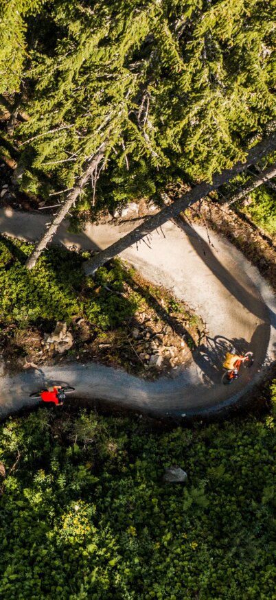 Schnepfenwald Trail von den Reiteralm Trails | © Matthias Fritzenwallner