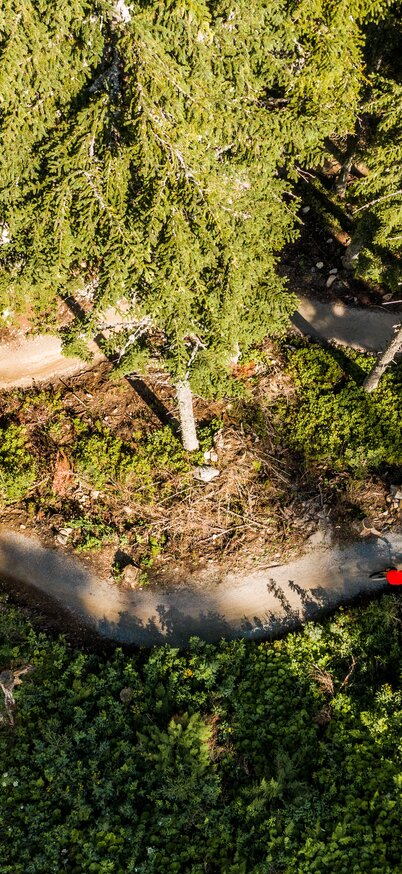 Schnepfenwald Trail von den Reiteralm Trails | © Matthias Fritzenwallner