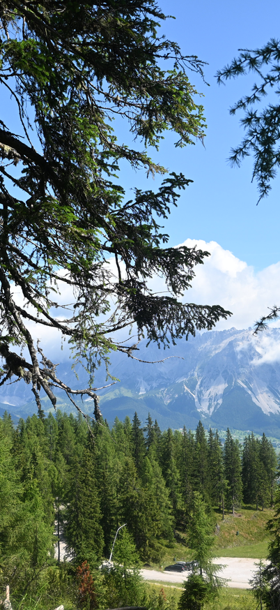 Aussicht von der Spiegelinas Lieblingsroute auf die umliegende Bergkulisse. | © Reiteralm Bergbahnen