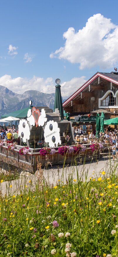 © Copyright: Harald Steiner-Fotografie