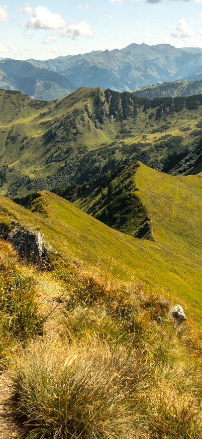 Bergpanorama der Schladming-Dachstein Region | © Marlene Eggmayr