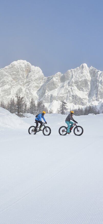                                 | © Peter Burgstaller