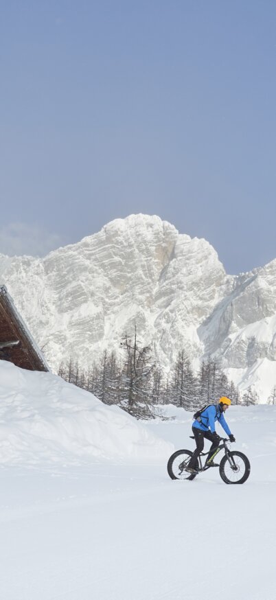                                 | © Peter Burgstaller