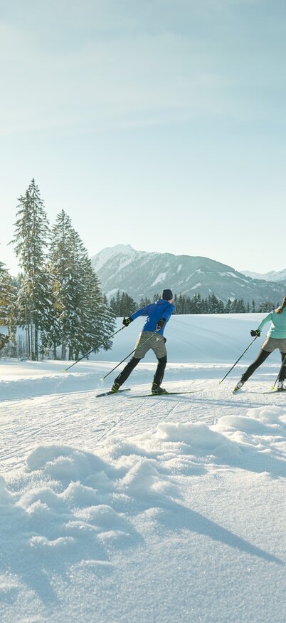 Langlaufen skating Ramsau am Dachstein | © Peter Burgstaller Langläufer auf der Skatingloipe | © Peter Burgstaller