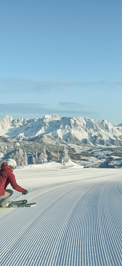 © Peter Burgstaller