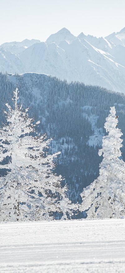 © Mirja Geh -  www.MirjaGeh.com