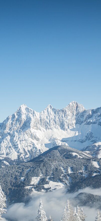 © Mirja Geh -  www.MirjaGeh.com