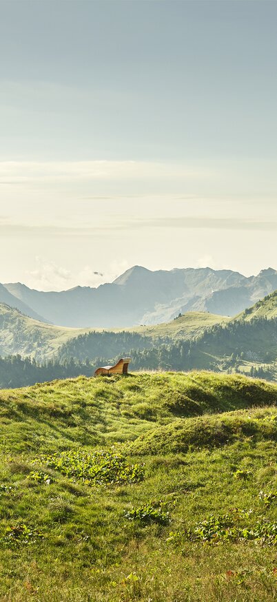 © Peter Burgstaller