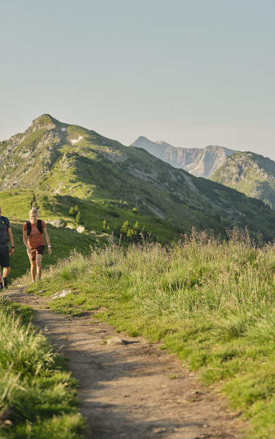 2 Wanderer am Weg zum Gasselhöhe Gipfelkreuz  | © Peter Burgstaller