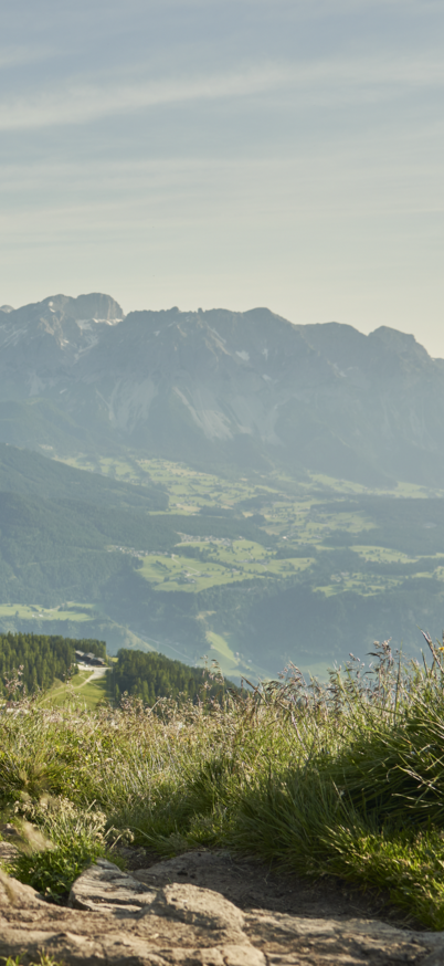 2 Wanderer am Weg zum Gasselhöhe Gipfelkreuz | © Peter Burgstaller