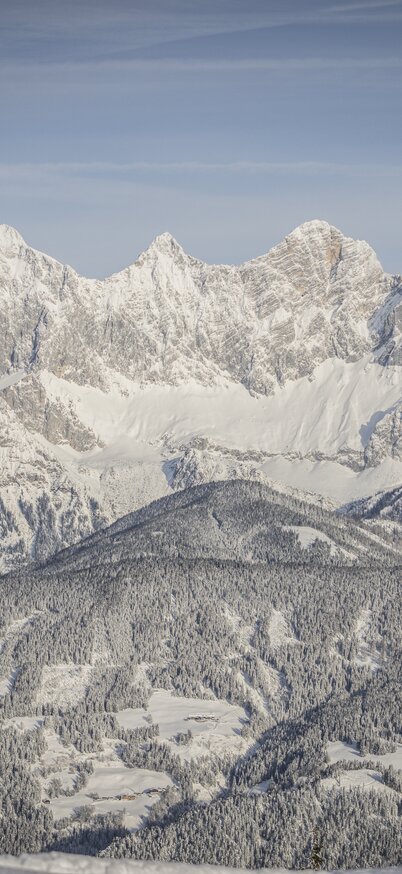 Eine verschneite Winterlandschaft, Panoramablick von einem Berg aus, Bäume, Dachstein | © Mirja Geh