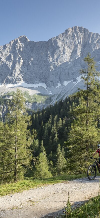 Biker mit Blick auf das Dachstein Dreigestirn | © Lorenz Masser