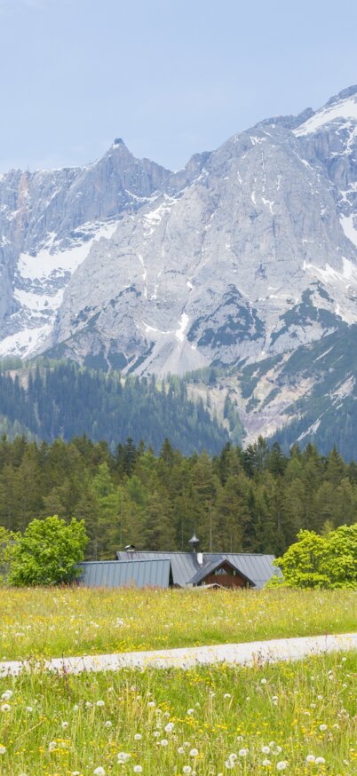 20.05.2025, Schladming, Steiermark, Österreich (Austria): Wandern im Frühling - unterwegs mit Nadine Schrempf vom Tourismusverband Schladming-Dachstein auf der Vorbergrunde in Pichl-Vorberg. 
Fotocredit: Martin Huber