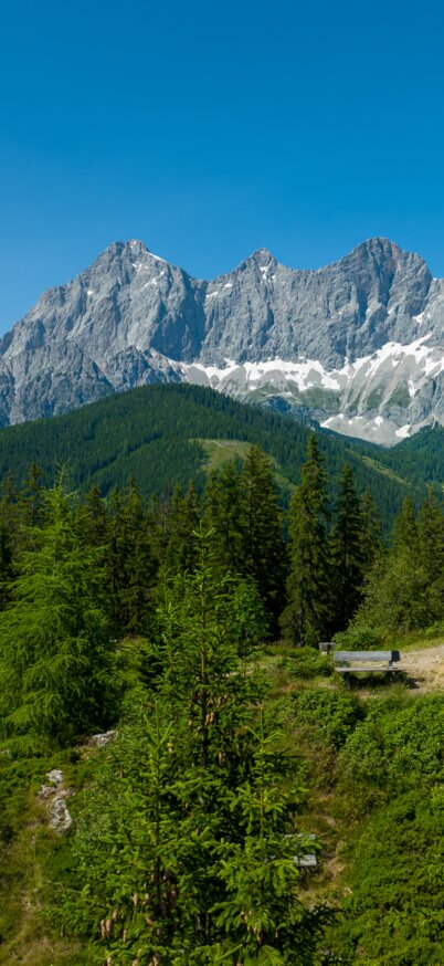 Gipfelkreuz Rittisberg | © Hans-Peter_Steiner