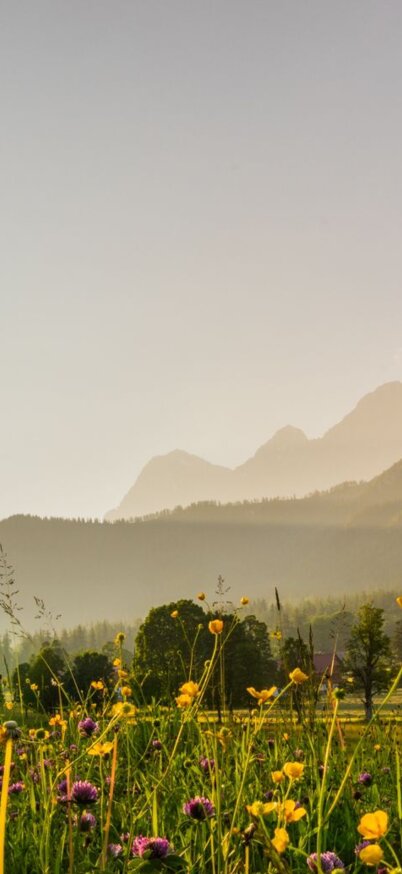 © Michael Simonlehner