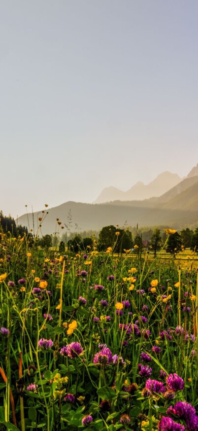 © Michael Simonlehner