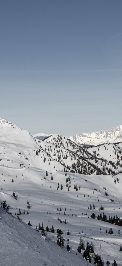 © Harald Waupotitsch/alm8.at