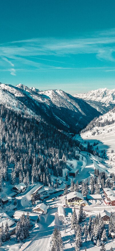 © Harald Waupotitsch/alm8.at