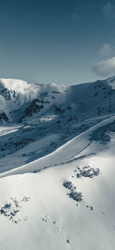 © Harald Waupotitsch