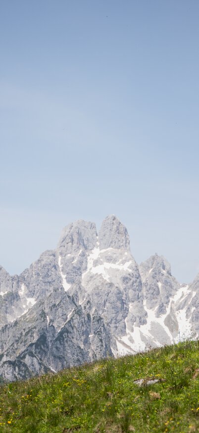 © Philipp Reiter