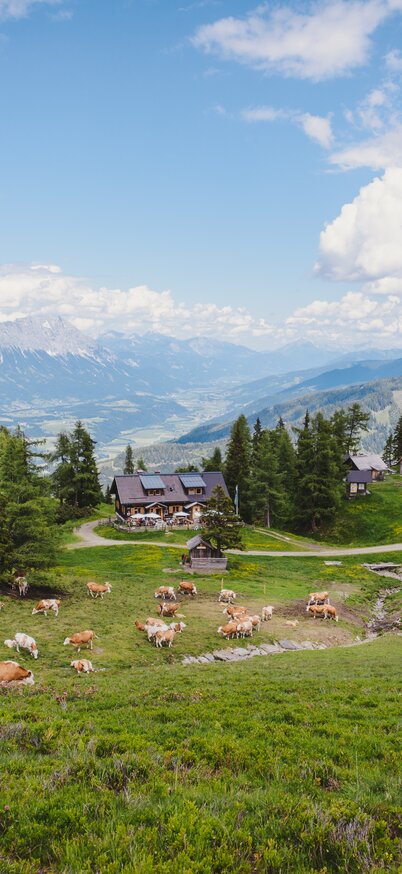 © Copyright © www.lukasbezila.com