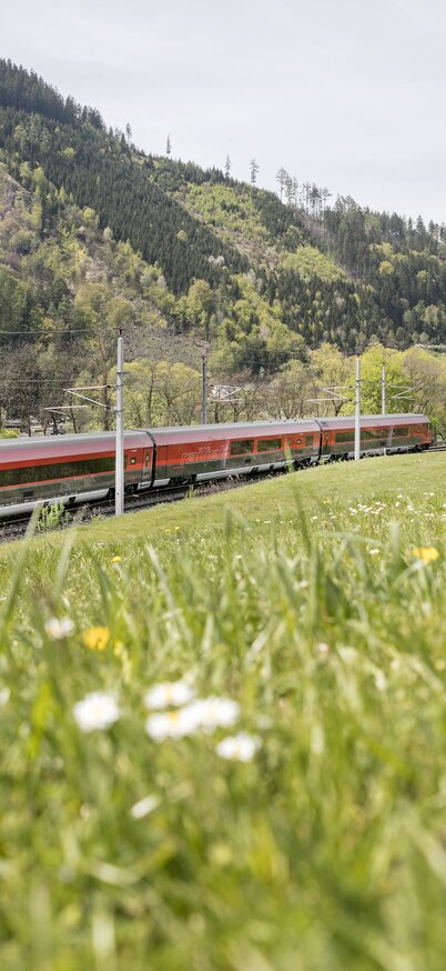 © © Harald Eisenberger