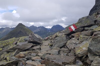 Trail through scree below Sauberg summit - Krukeckscharte lying ahead