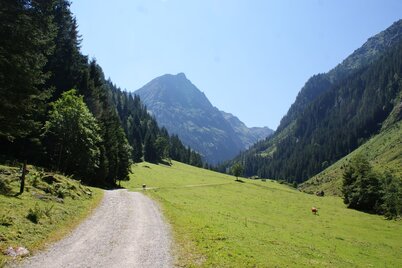 Alp road to Steinriesental valley near Untere Steinwendalm