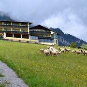 Das 3 * Superior Hotel Martin 