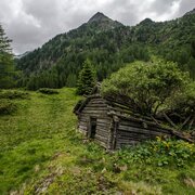 Die Natur holt sich Terrain zurück - Obere Holdalm