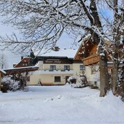 IMG_2082